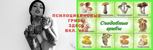прущие грибы Баксан