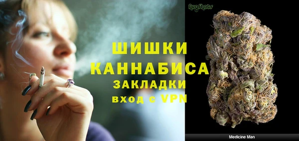 прущие грибы Баксан