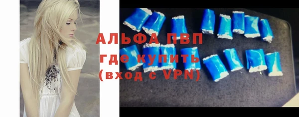 прущие грибы Баксан