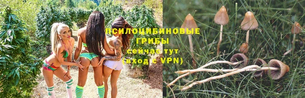 хмурый Балахна