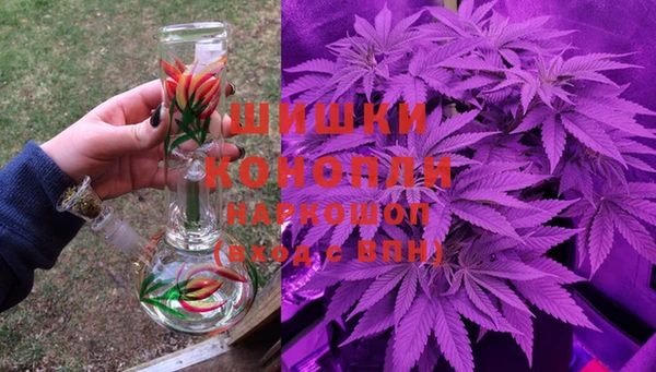 прущие грибы Баксан