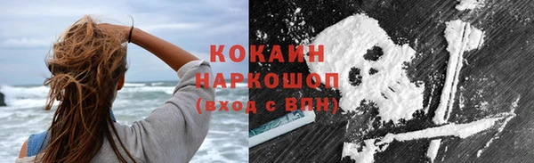 прущие грибы Баксан